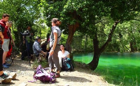 Biodiversité des gorges de l'ardeche