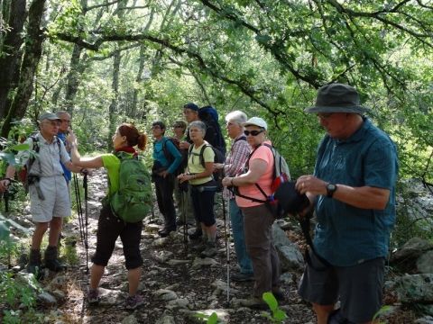 Randonnée accompagnée ardeche