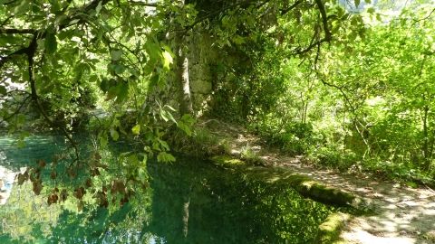 Randonnée presence à la nature.JPG