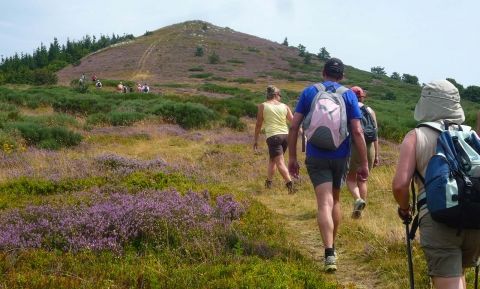 Randonnées accompagnées montagne ardechoise