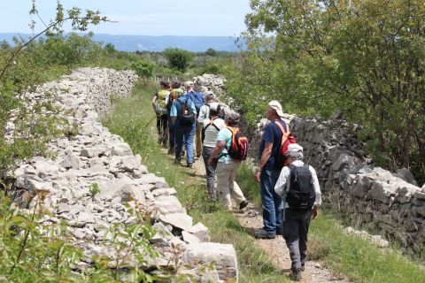 Randonnées ardeche